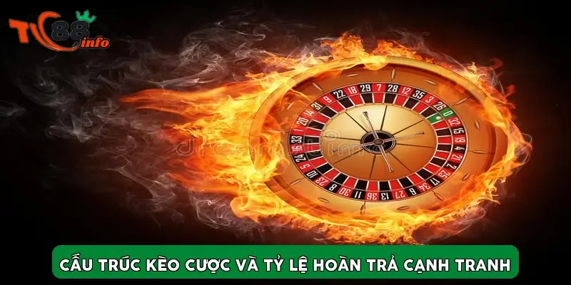 Cấu trúc kèo cược và tỷ lệ hoàn trả cạnh tranh