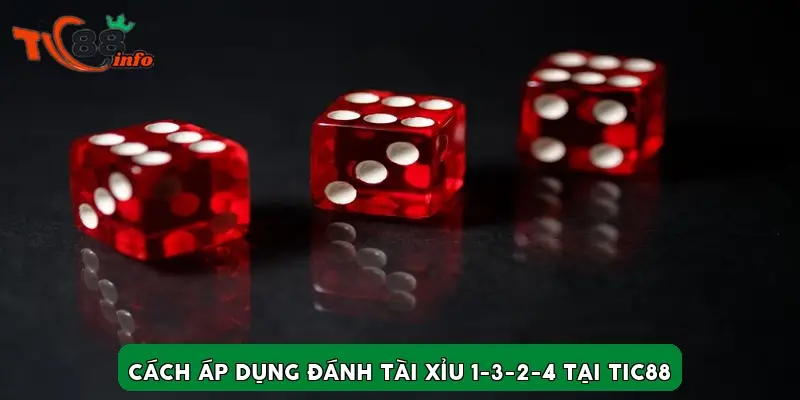 Cách áp dụng đánh tài xỉu 1-3-2-4 tại TIC88